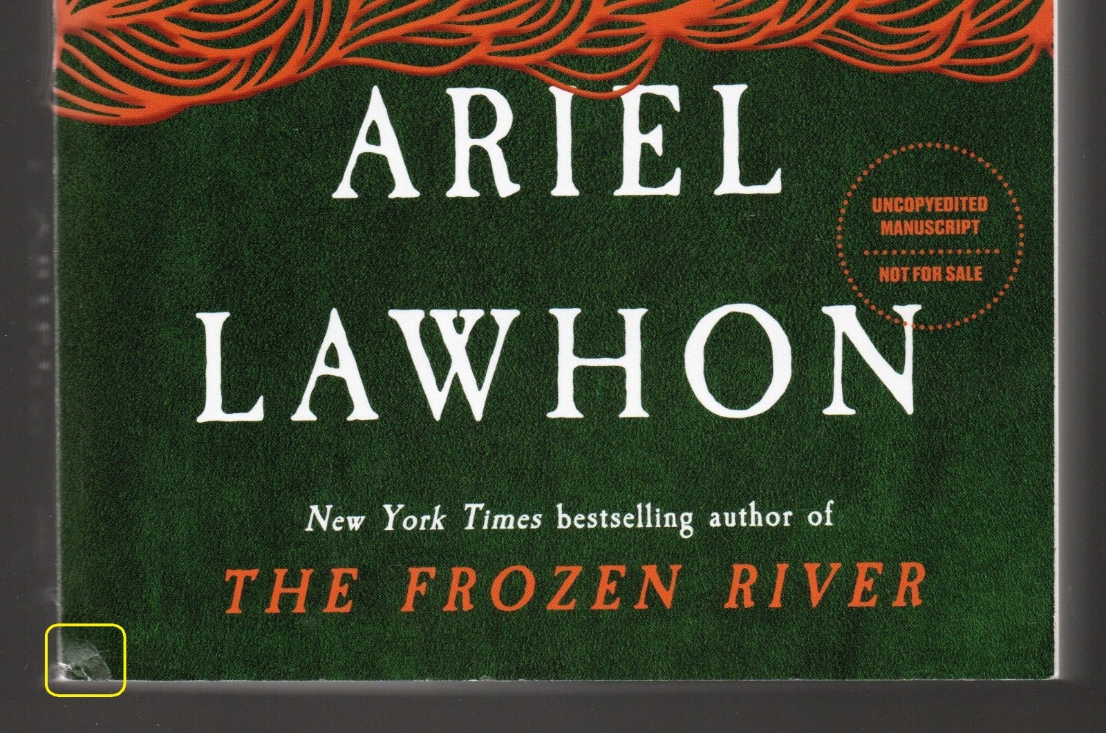The Pirate Queen by Ariel Lawhon ARC Free Shipping
