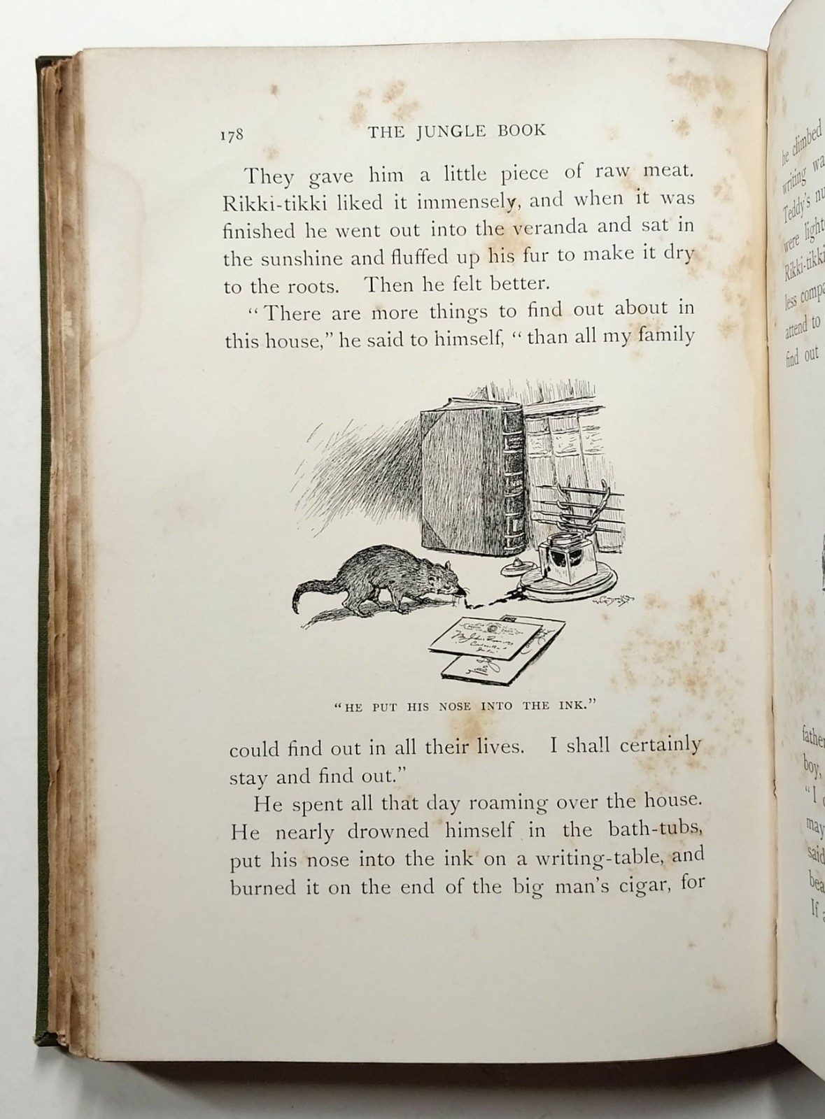 The Jungle Book by Rudyard Kipling 1st American Edition 1894 The Century Co HC