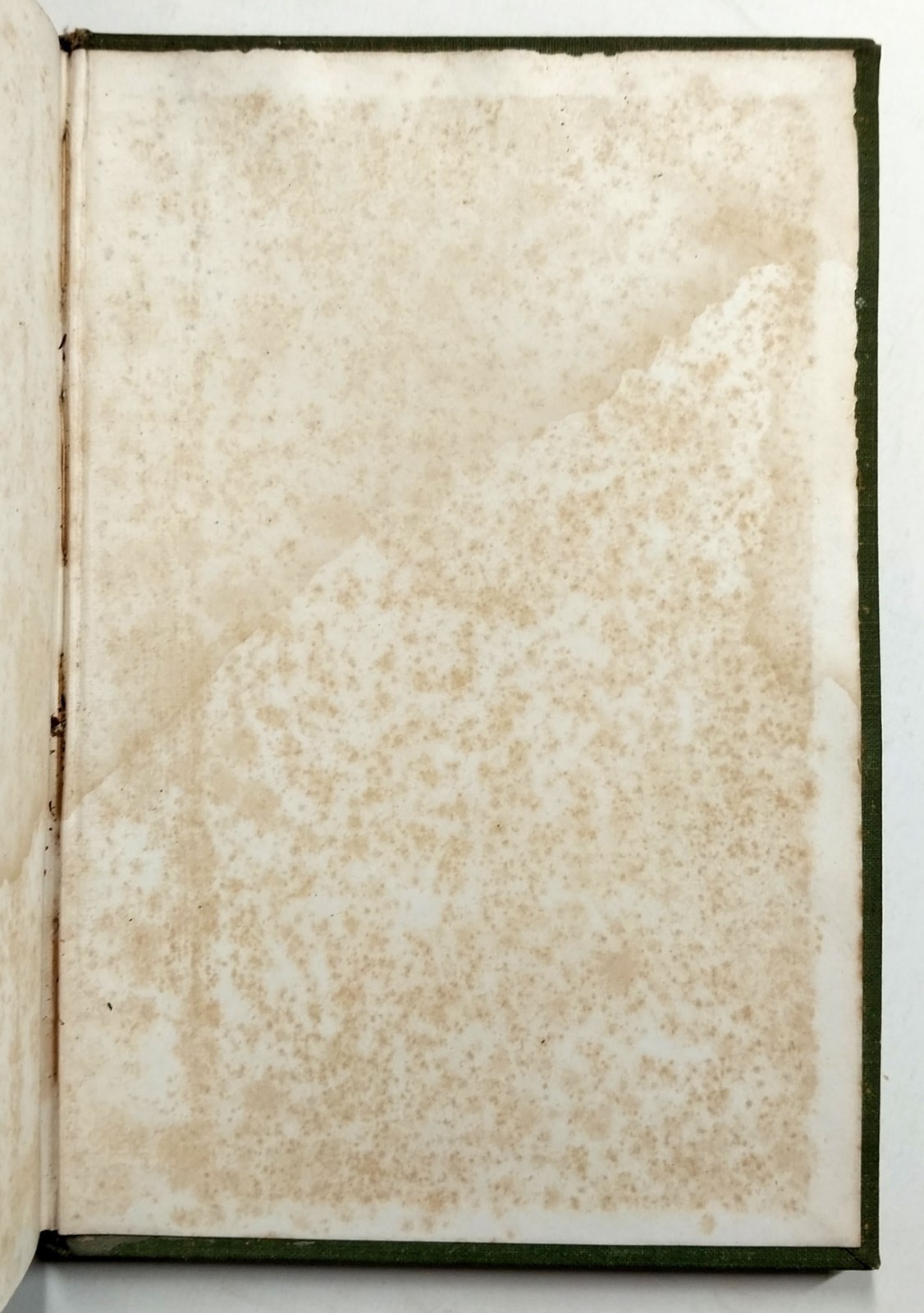 The Jungle Book by Rudyard Kipling 1st American Edition 1894 The Century Co HC