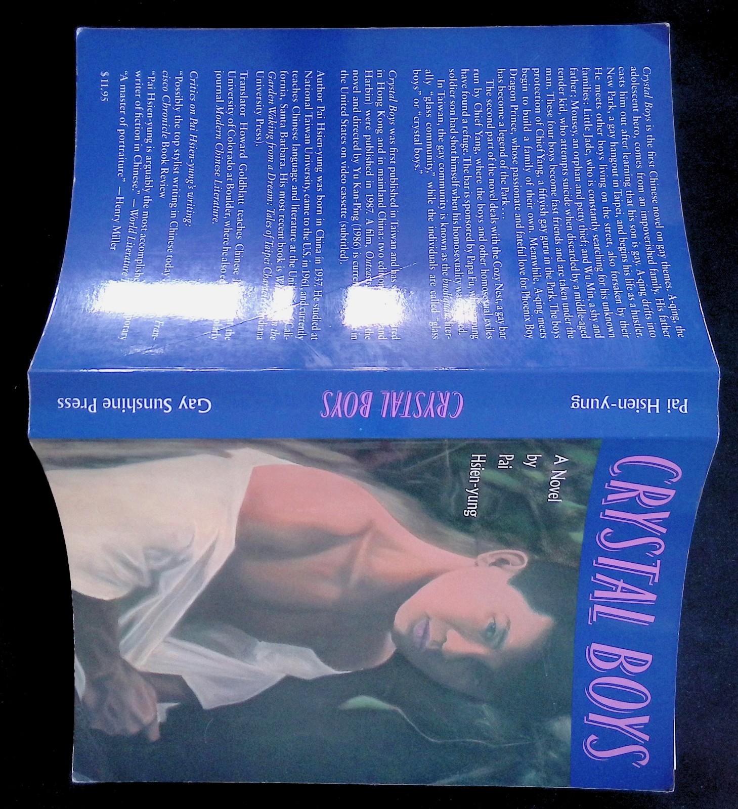 CRYSTAL BOYS A NOVEL BY PAI HSIEN-YUNG Gay Interest ENGLISH Edition 1990