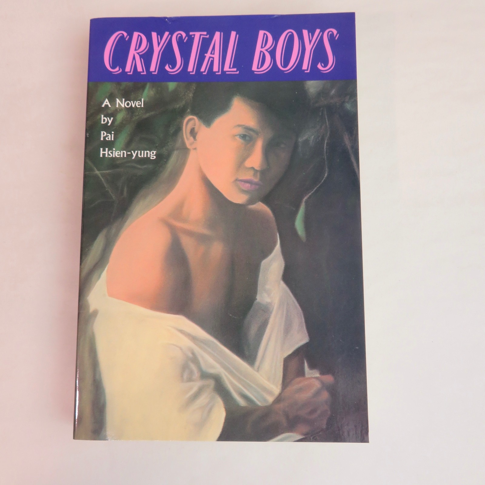 1986 CRYSTAL BOYS PAI HSIEN-YUNG 1ST ED GAY SUNSHINE PRESS – GAY INTEREST RARE