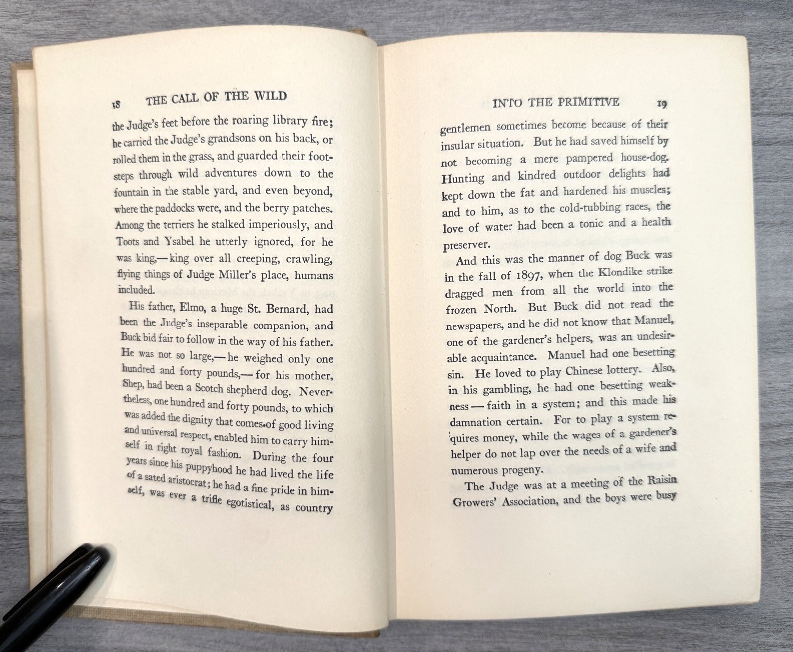 Famous Dog Stories Jack London White Fang Call of The Wild; Juneau; Kazan; Derry