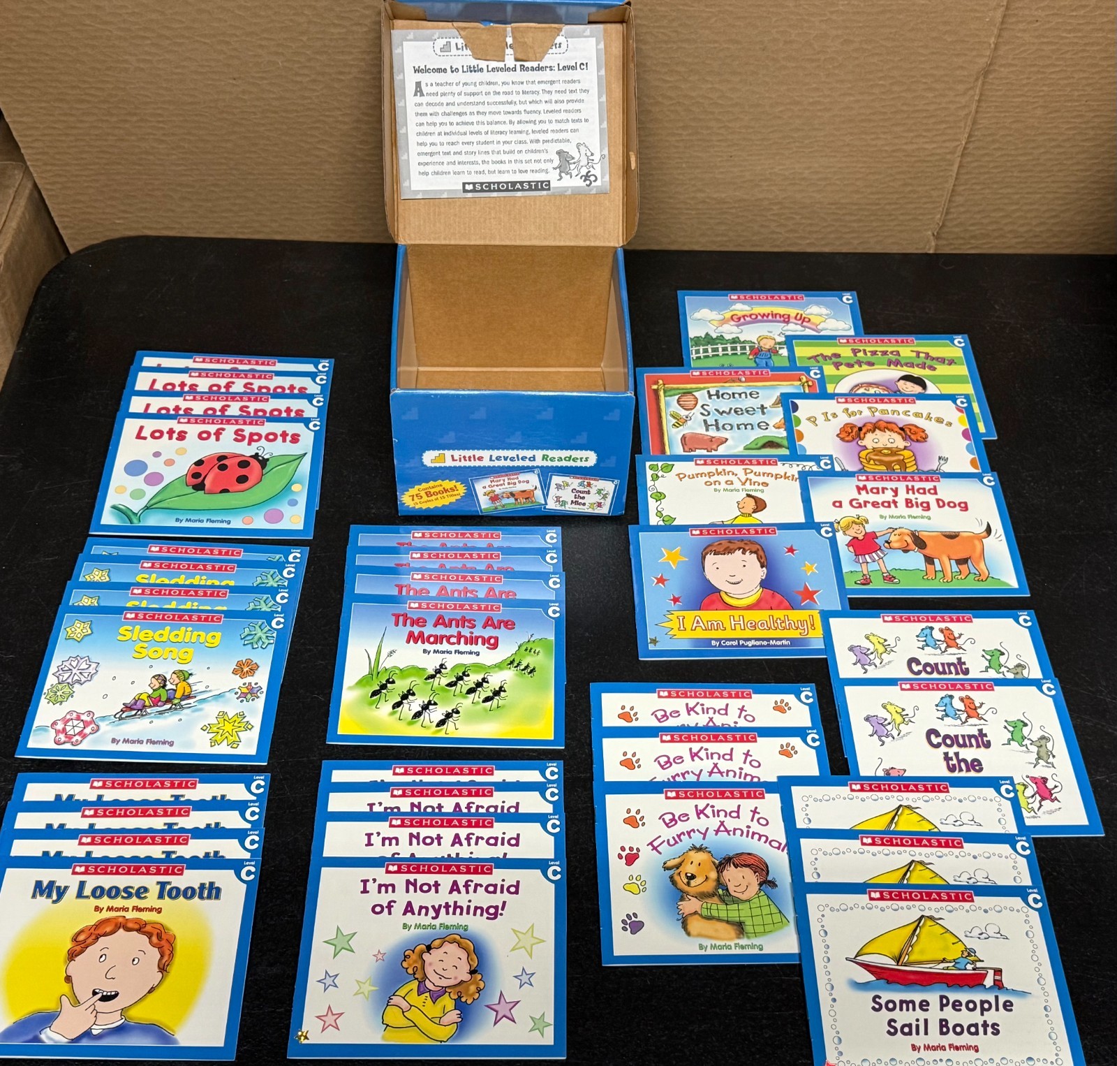 Little Leveled Readers Level C Scholastic Kindergarten 1st Grade 35 Book Lot