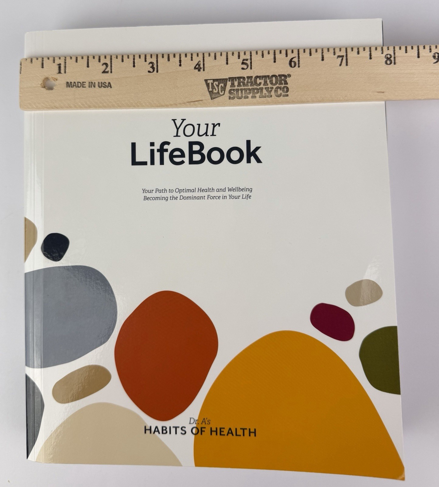 Your Lifebook Your Path to Optimal Health and Wellbeing – Paperback – Excellent