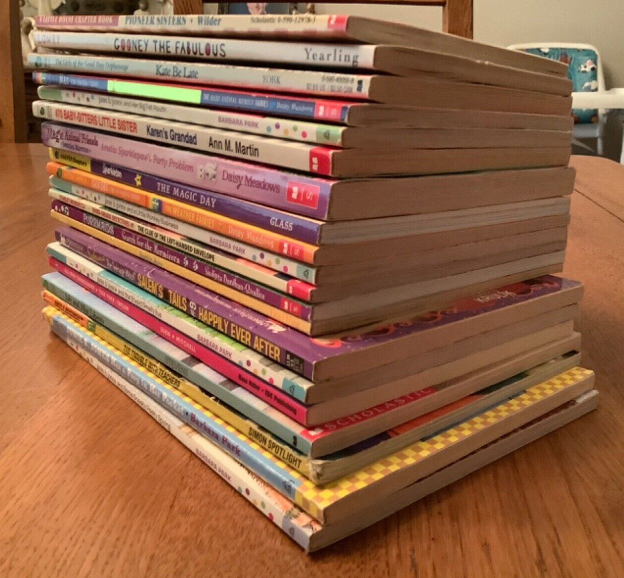 Girls Interest Mixed Lot Chapter Books Junie B Jones, Rainbow Magic, & More, 20