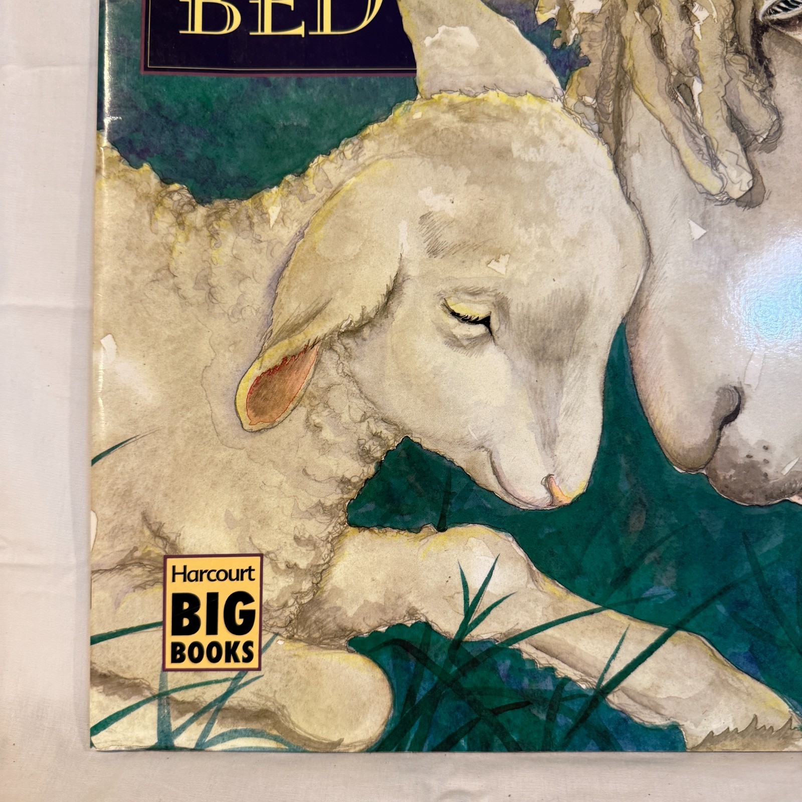 Time for Bed (Big Book Edition) by Fox Mem Dyer Jane (1997-02-01) Paperback