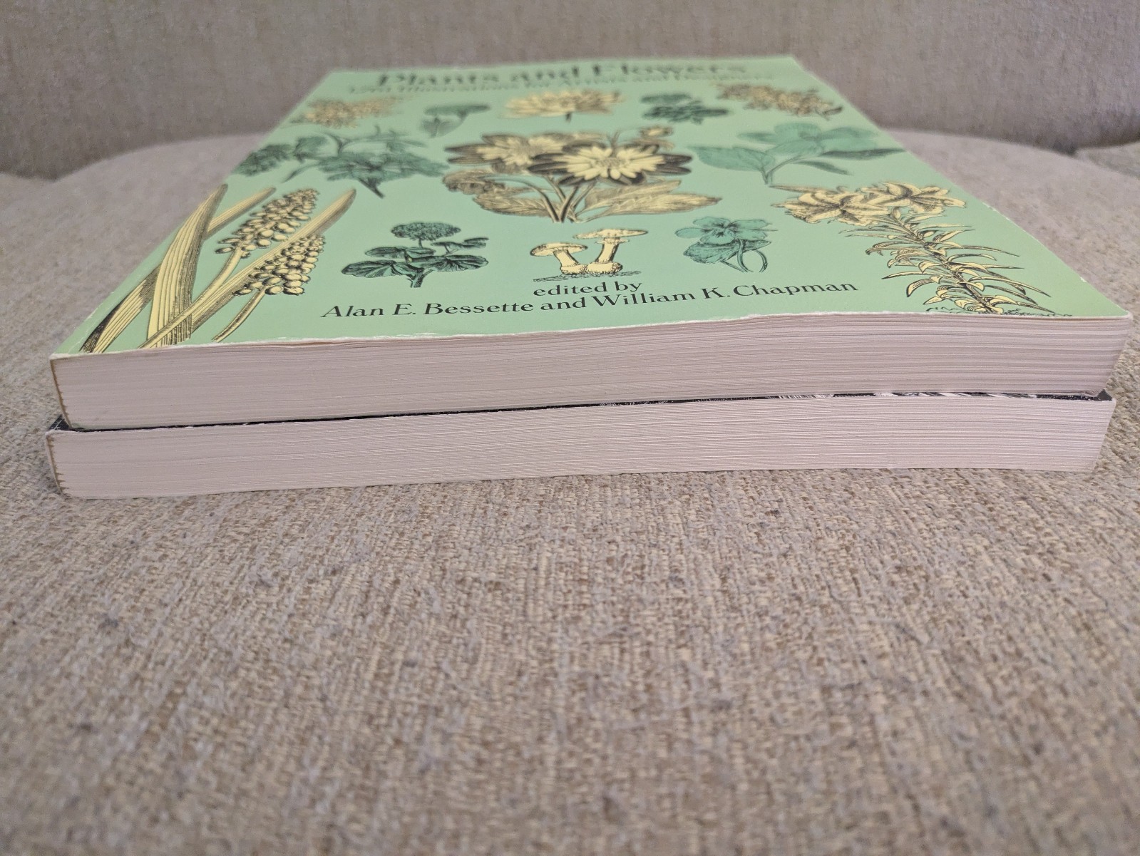 Plants and Flowers: 1761 Illustrations & Animals: 1419 Illustrations | 2 PBs!
