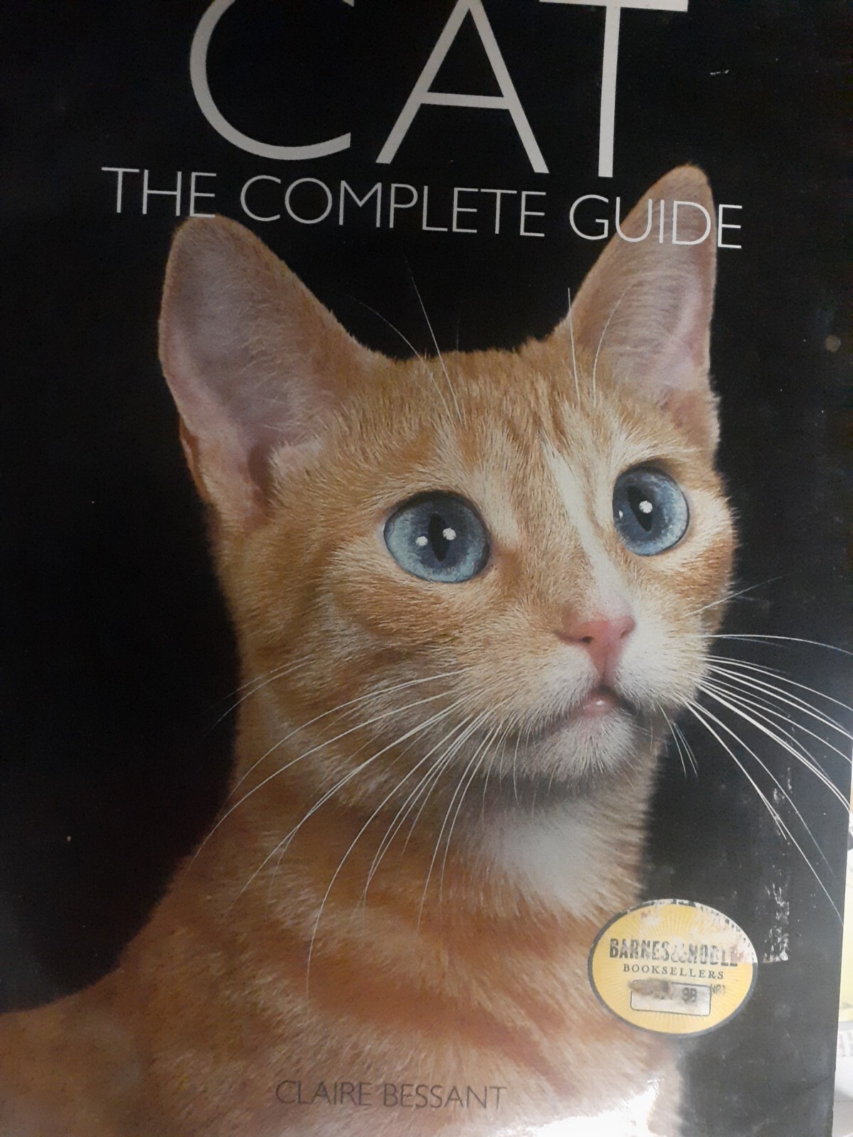 Cat: The Complete Guide by Claire Bessant