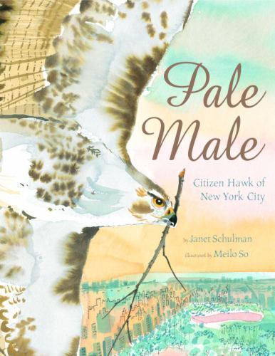 Pale Male: Citizen Hawk of New York City by Janet Schulman