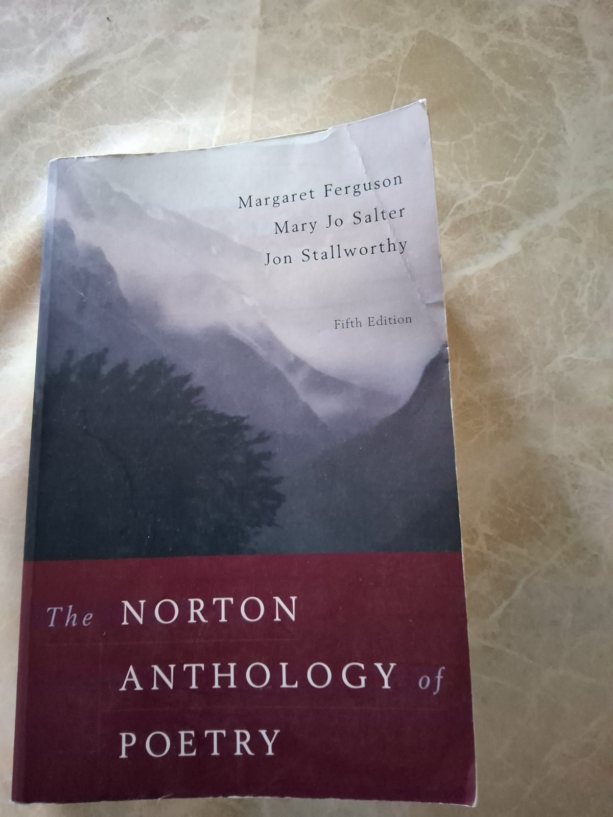 Norton Anthology of Poetry by Mary Jo Salter (2004, Trade Paperback)