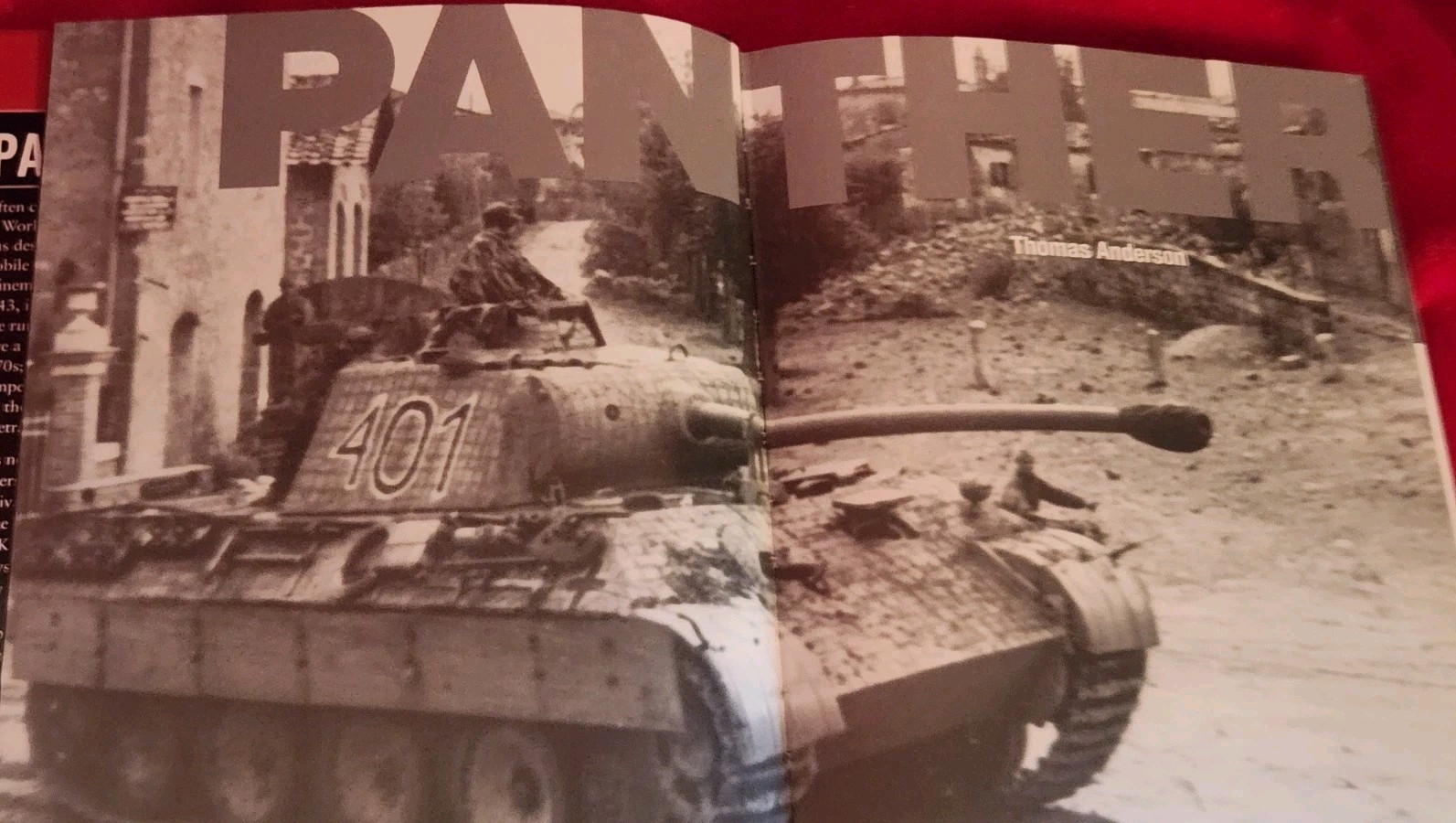 Panther – Hardback by Anderson Thomas w/ Dust Cover
