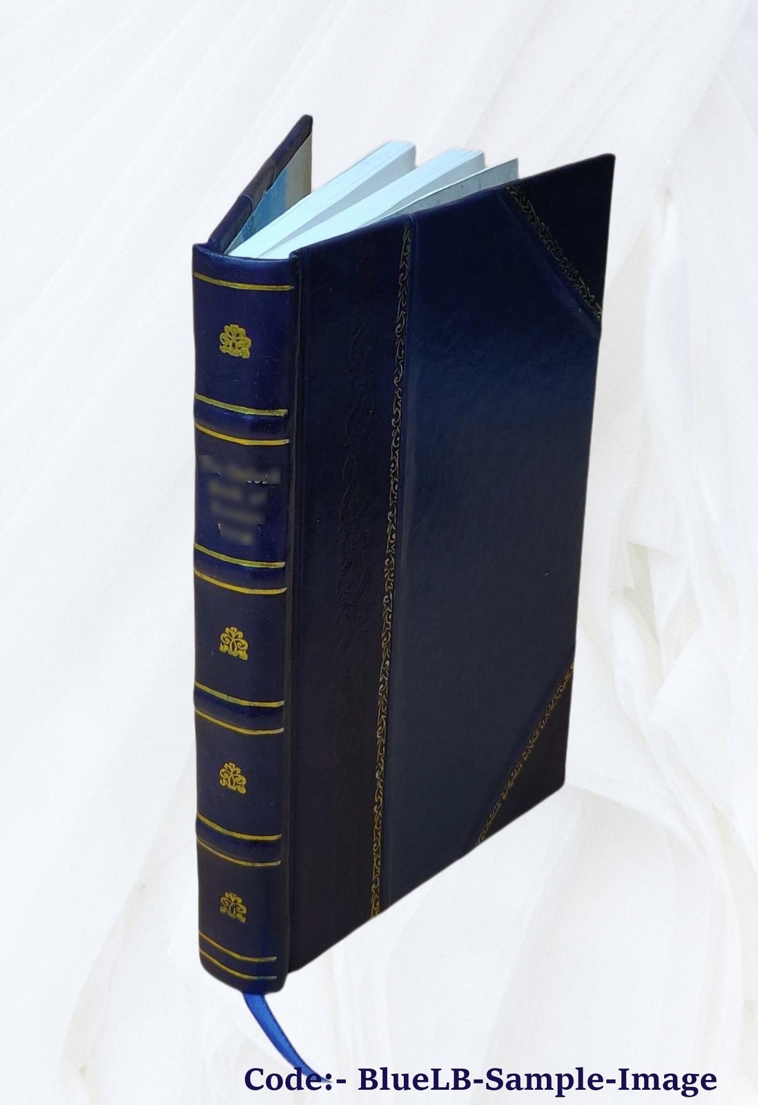 Notices, Historical, Statistical And Biographical Relating To Th [Leather Bound]