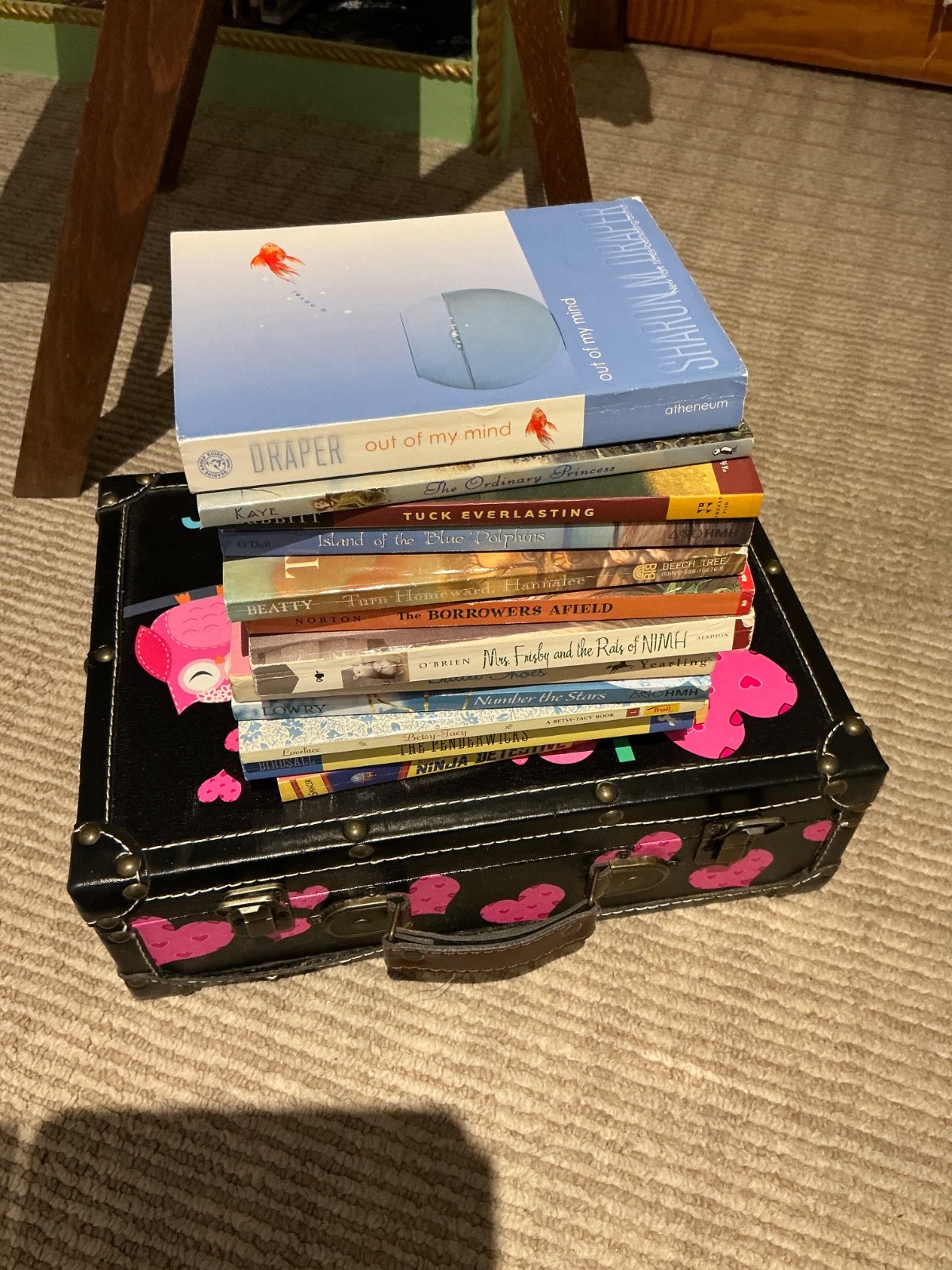 Suitcase LOT of Chapter Books GIRLS interest 12 Various Fiction Adventure—Good