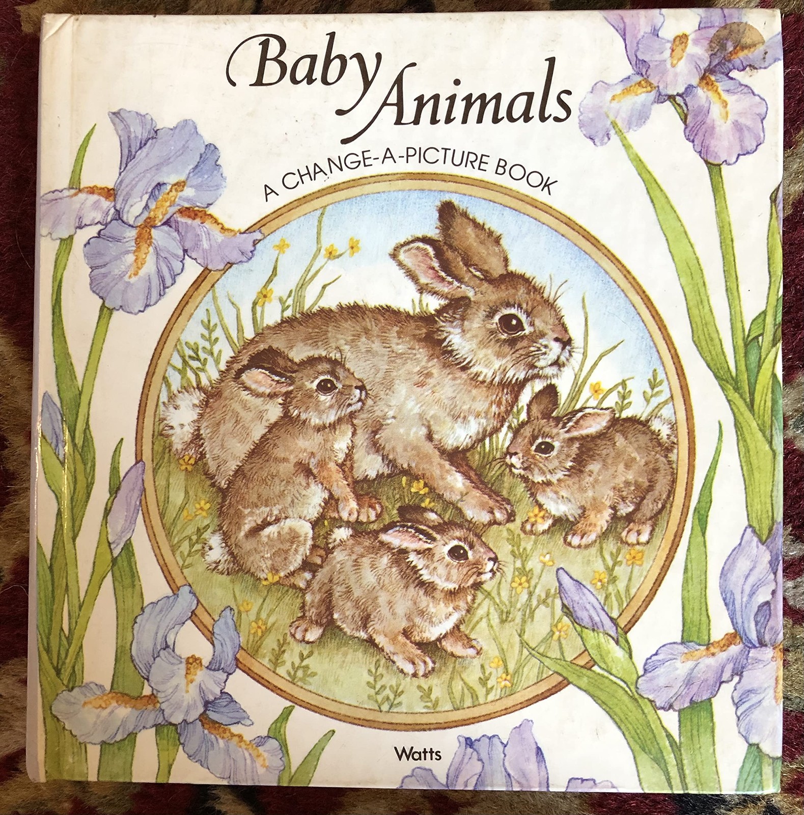 Baby Animals – Shapiro – Good – See condition notes