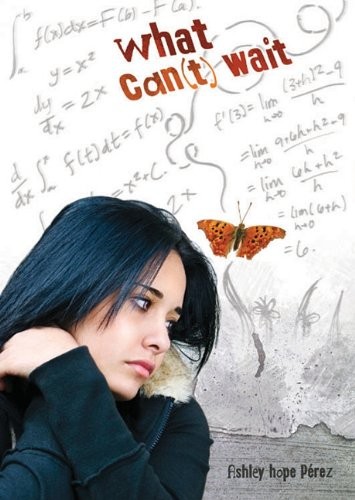 What Can(t) Wait (Carolrhoda Ya), Perez, Ashley Hope