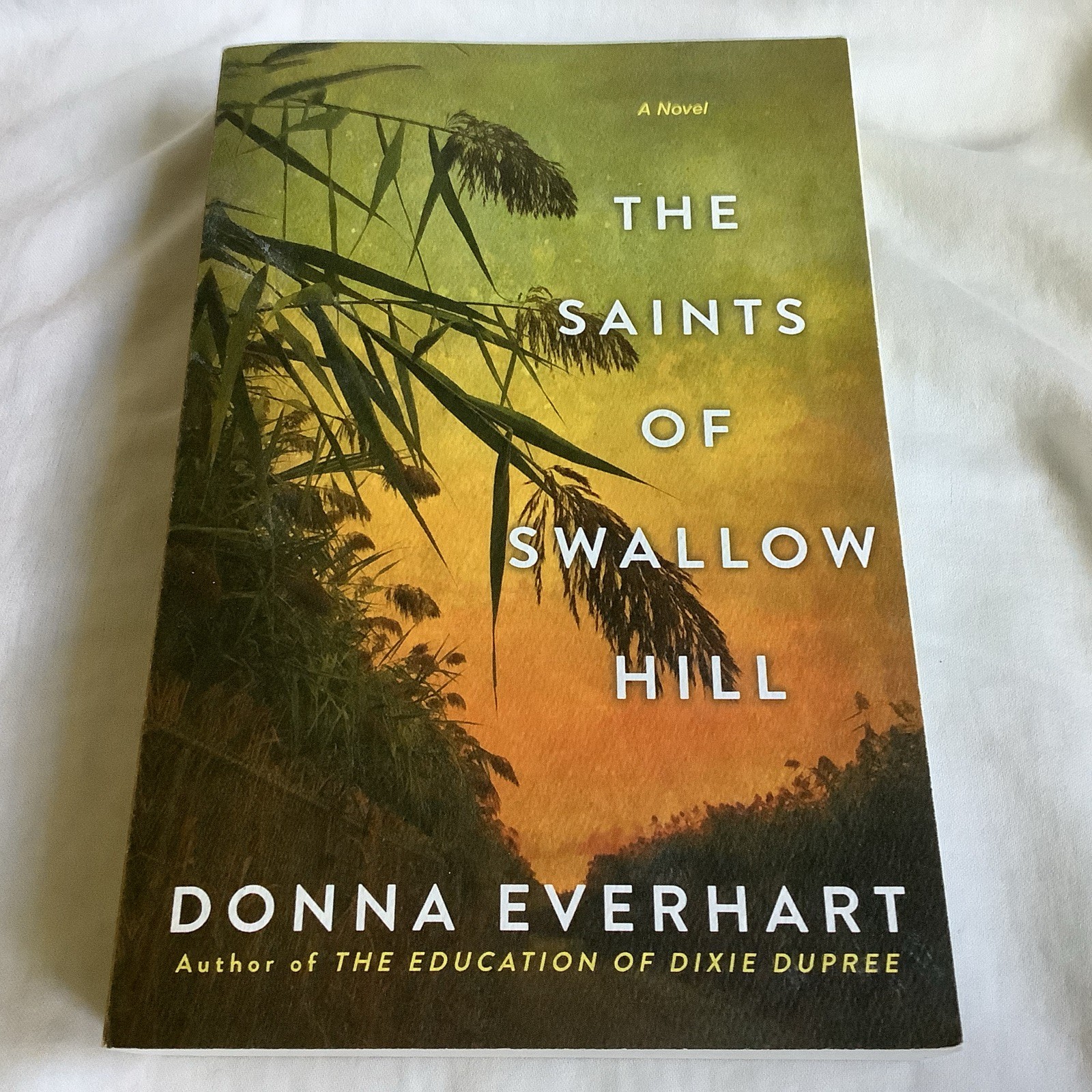 The Saints of Swallow Hill by Donna Everhart (2022 Trade PB) – BRAND NEW!!