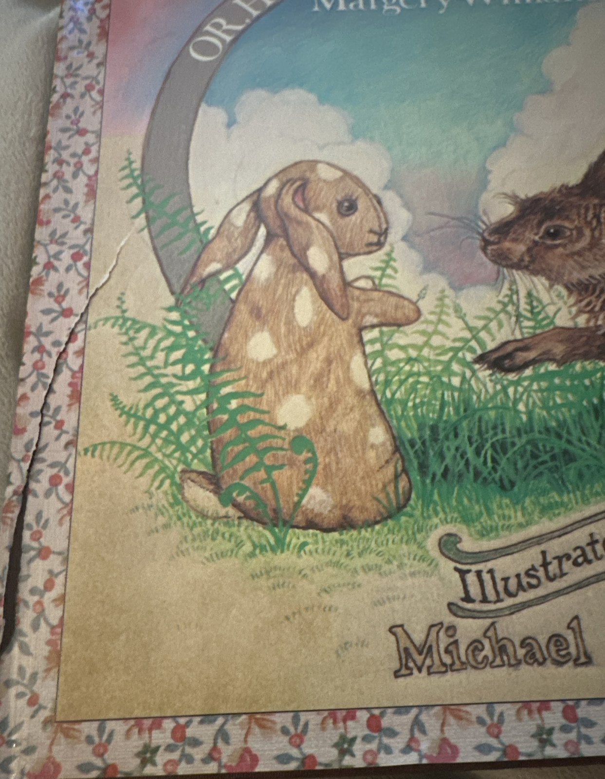 THE VELVETEEN RABBIT by Margery Williams Ill. Michael Green HC Book 1984 Vintage