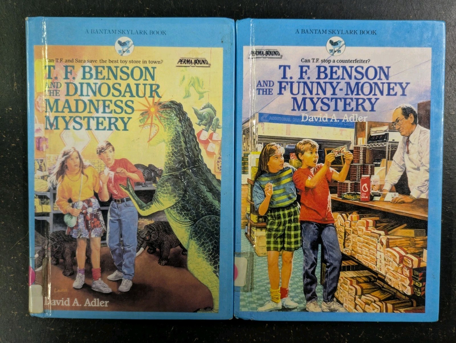 Lot Of 2 T. F. Benson Mystery Books – David A. Adler – HC, Ex-libris – 1992