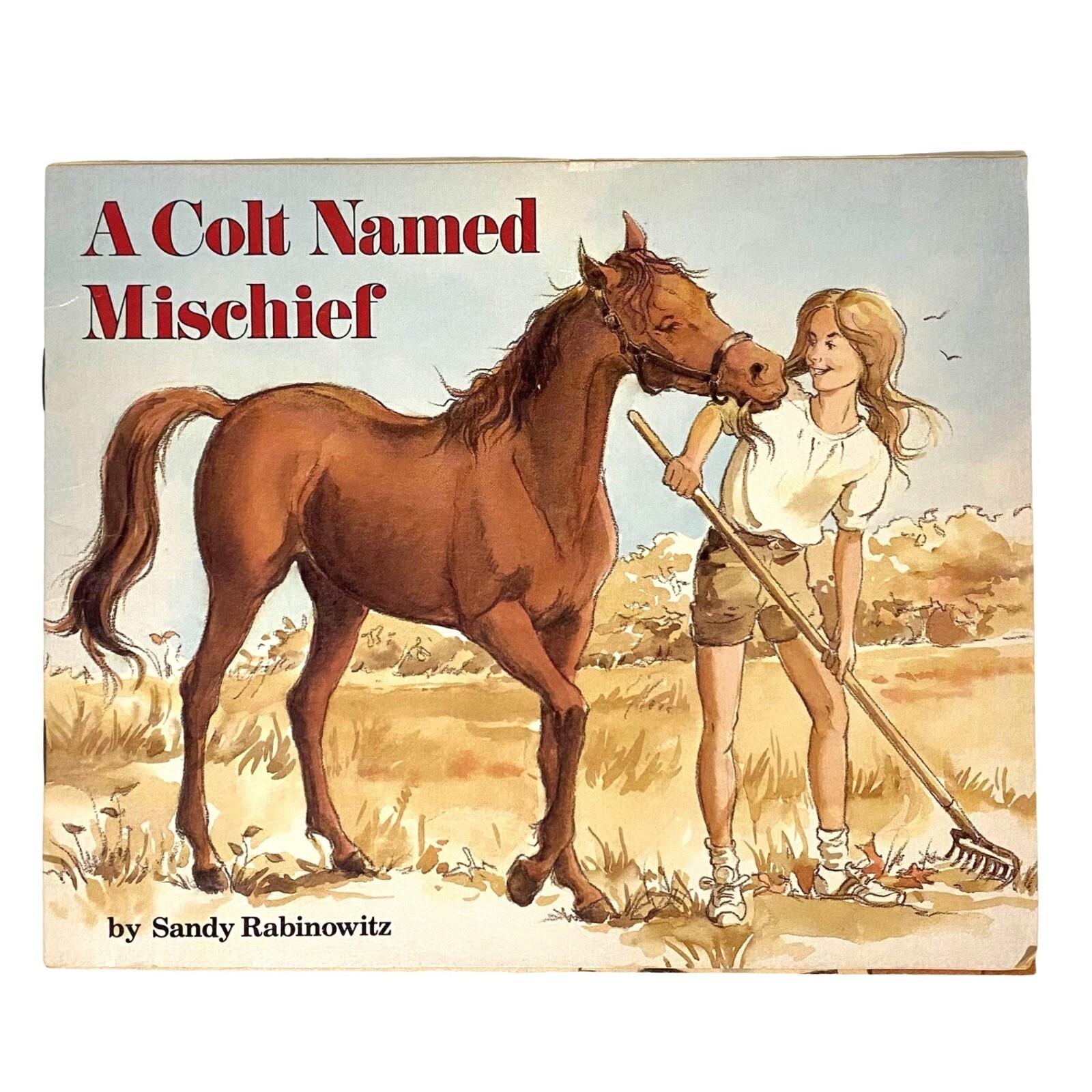 A Colt Named Mischief Paperback Sandy Rabinowitz Horse Stories Girls Interest