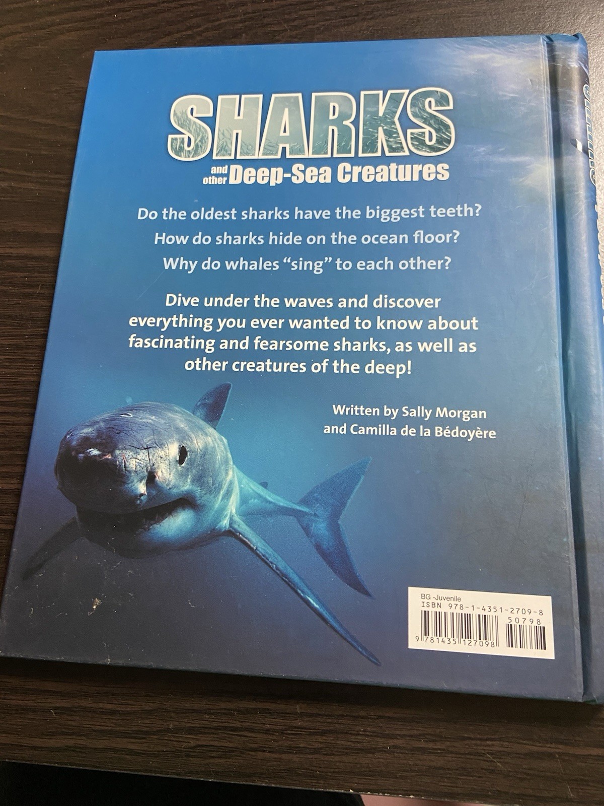 Great Big Book of Sharks and Other Deep Sea Creatures – Hardcover 2010