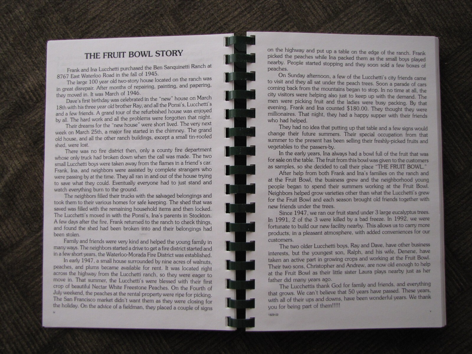 FAVORITE RECIPES Variety Pack by Ina Lucchetti 244+ pages from “THE FRUIT BOWL”