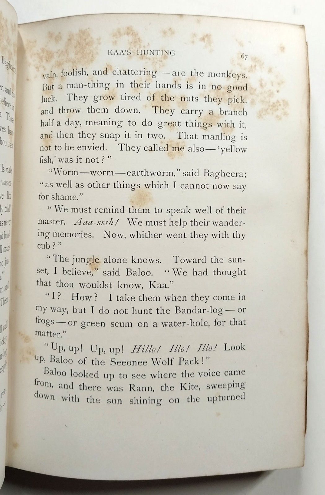The Jungle Book by Rudyard Kipling 1st American Edition 1894 The Century Co HC