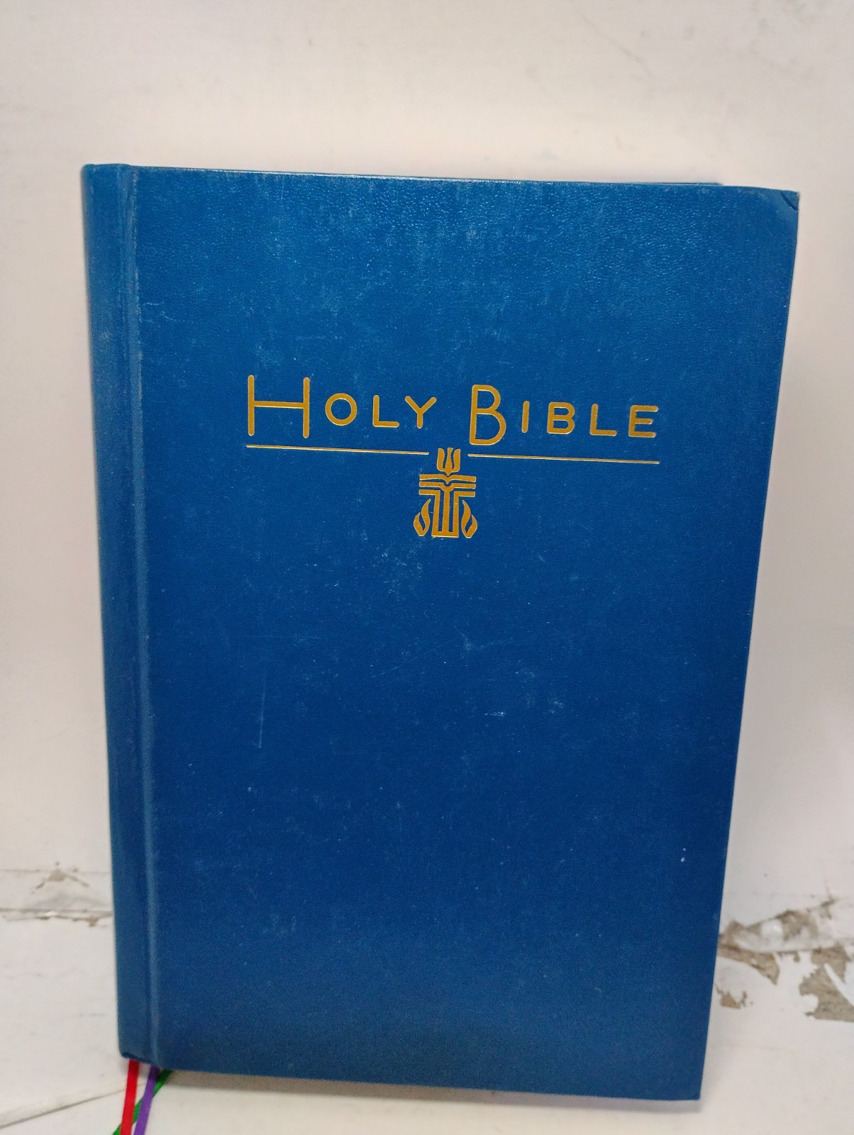 Holy Bible 2011