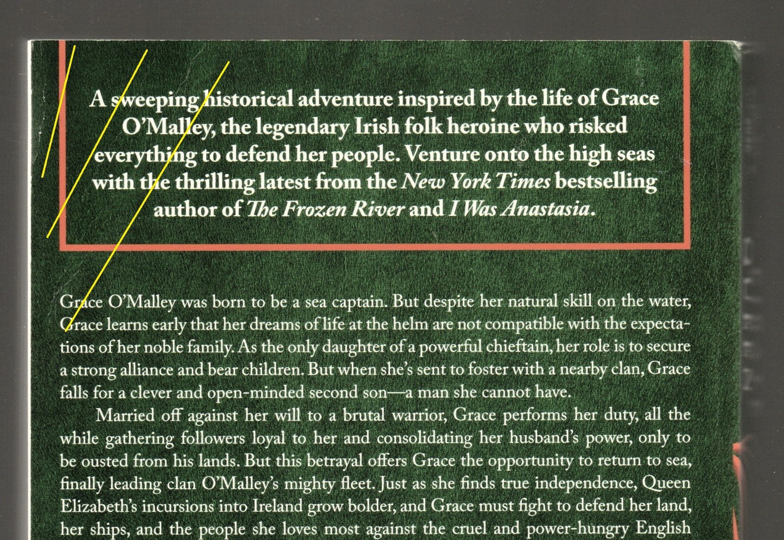 The Pirate Queen by Ariel Lawhon ARC Free Shipping